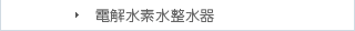 電解水素水整水器