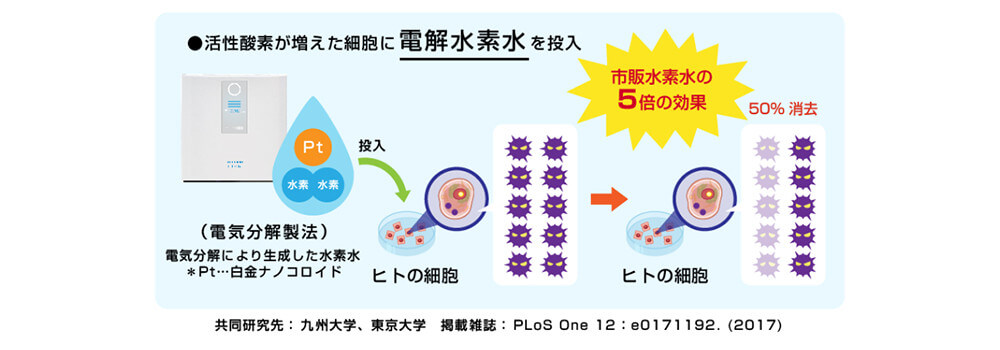 電解水素水は同水素濃度の水素水に比べ HT1080 細胞の細胞内活性酸素消去能が強い