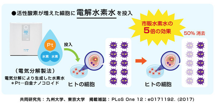 電解水素水は同水素濃度の水素水に比べ HT1080 細胞の細胞内活性酸素消去能が強い