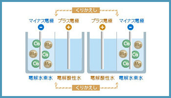 日本トリム独自の技術！