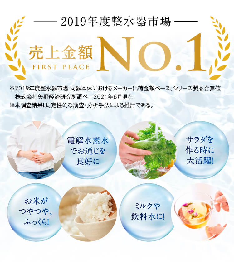 ２０１９年度整水器市場売上金額NO.1