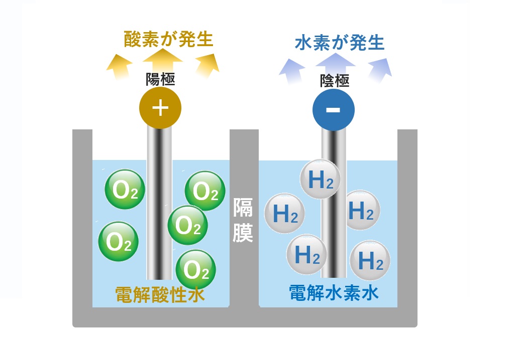 電解水素水の効果とは？