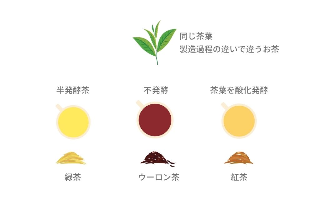 紅茶の4つのことを知っておいしく飲もう 水と健康の情報メディア トリム ミズラボ 日本トリム 紅茶の4つのことを知っておいしく飲もう 水と健康の情報メディア トリム ミズラボ 日本トリム
