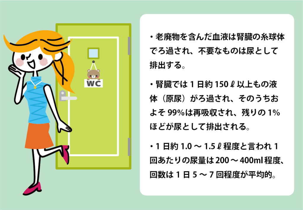 時間 なる 水 まで で に から の を 飲ん 尿 体が水を吸収する時間と排出するまでの時間はどのくらい？