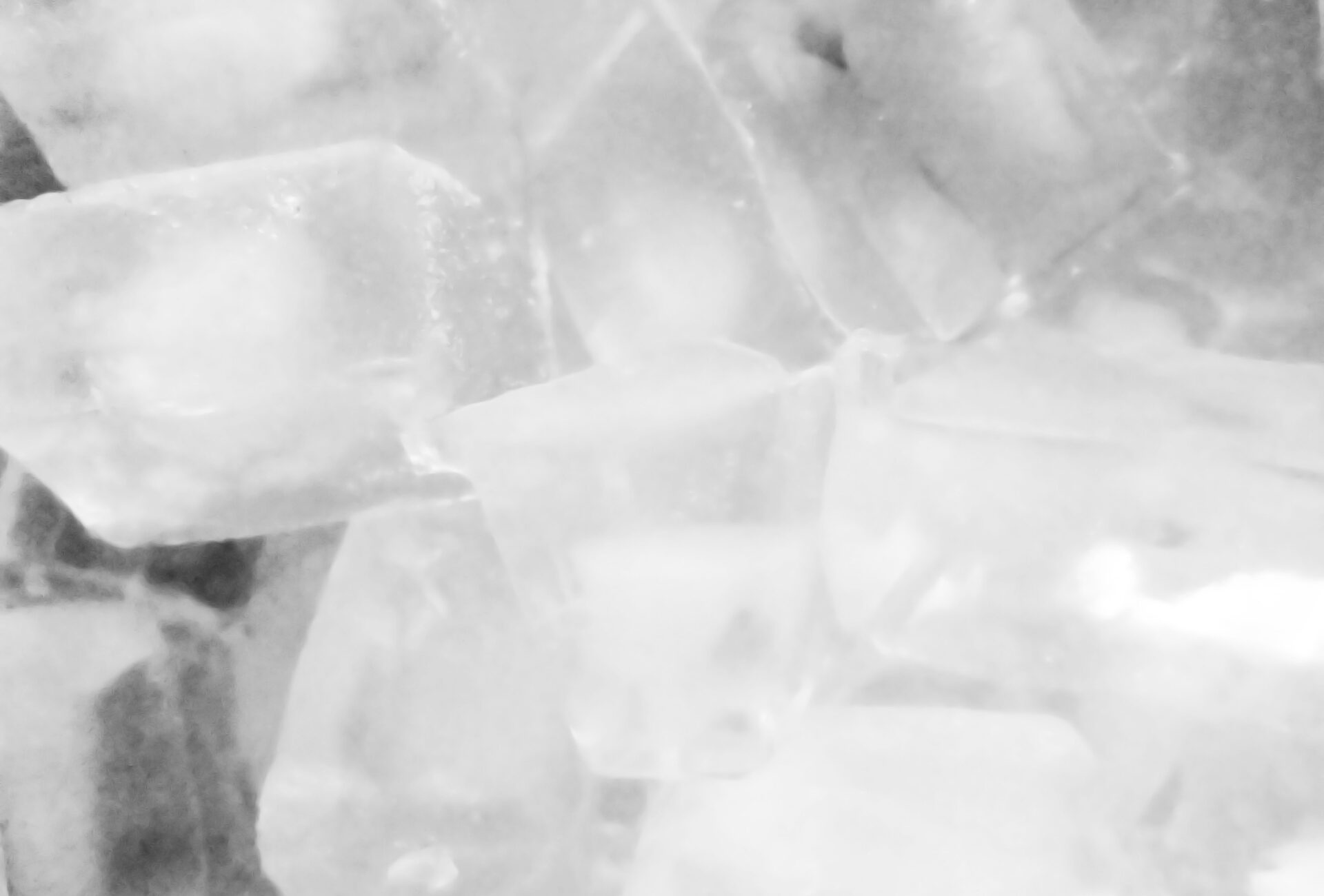 きれいな氷の作り方とは ミネラルウォーターでフラワーアイスキューブを作ろう 水と健康の情報メディア トリム ミズラボ 日本トリム