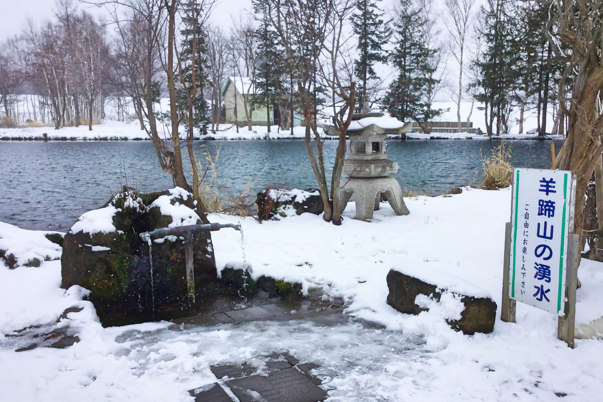 羊蹄のふきだし湧水