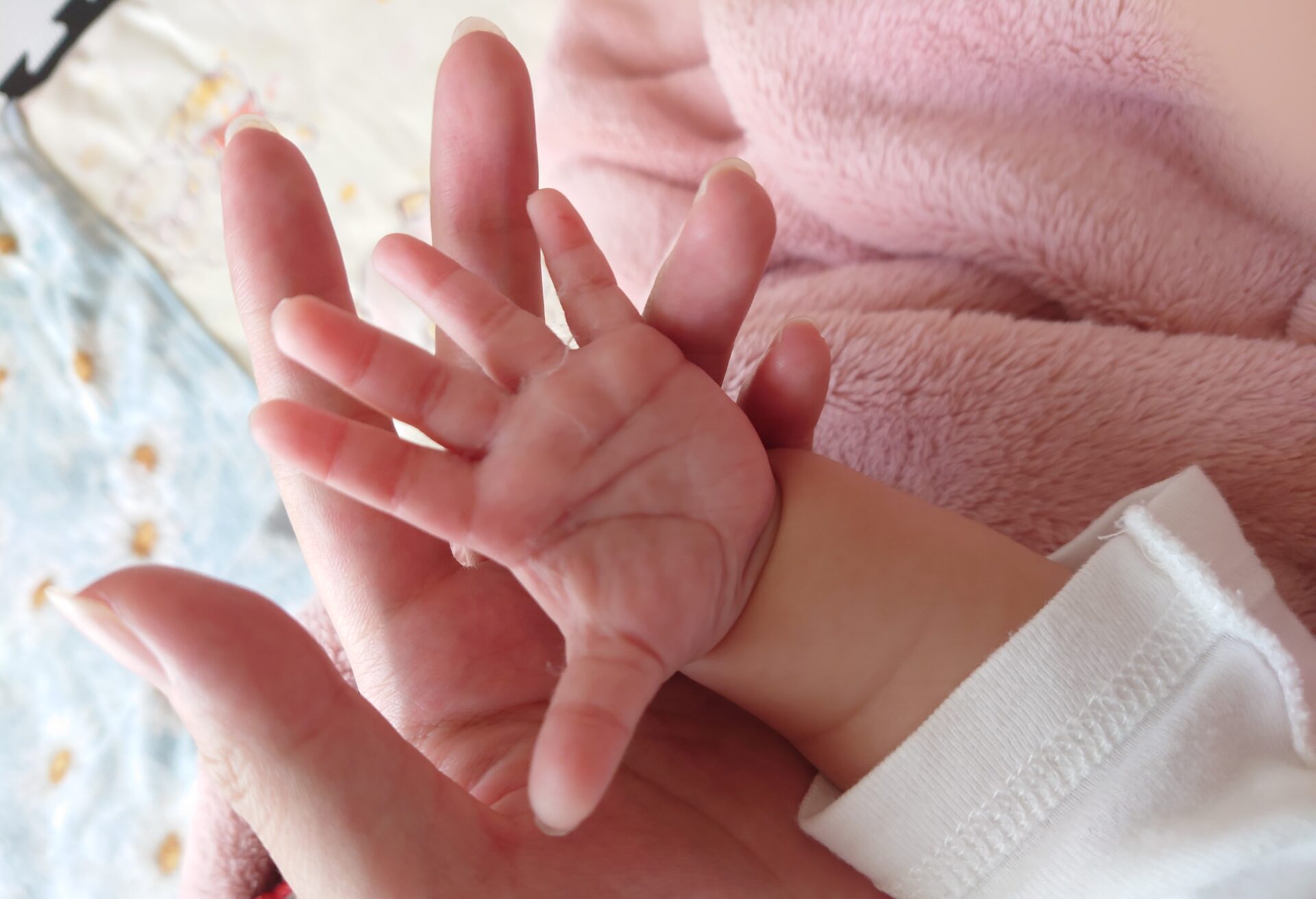 ノンアルコール飲料って本当にアルコール0 定義 醸造法や味わいについて解説 水と健康の情報メディア トリム ミズラボ 日本トリム