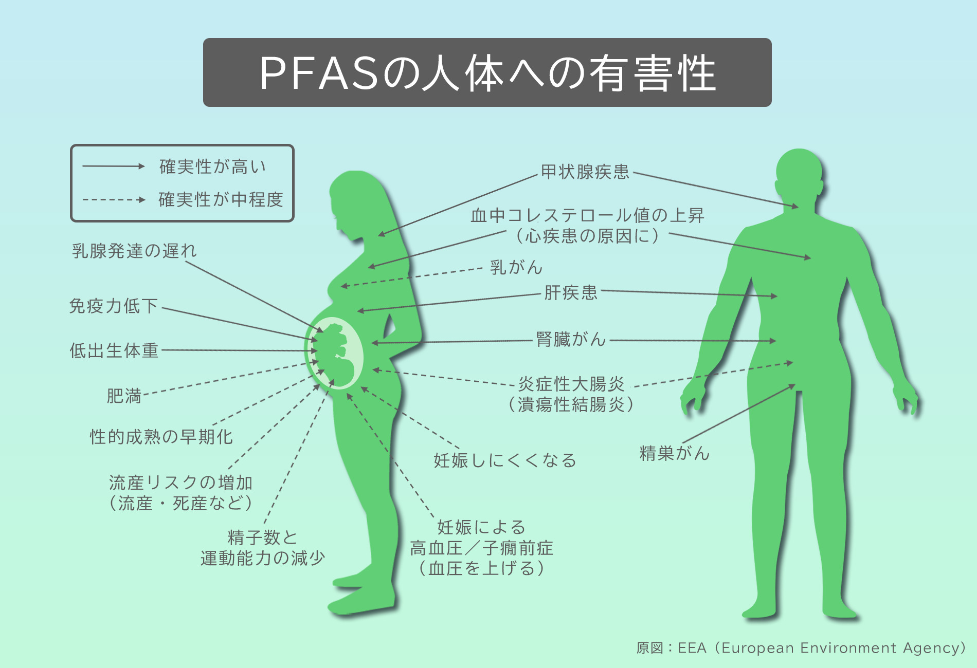 PFASの人体への有害性