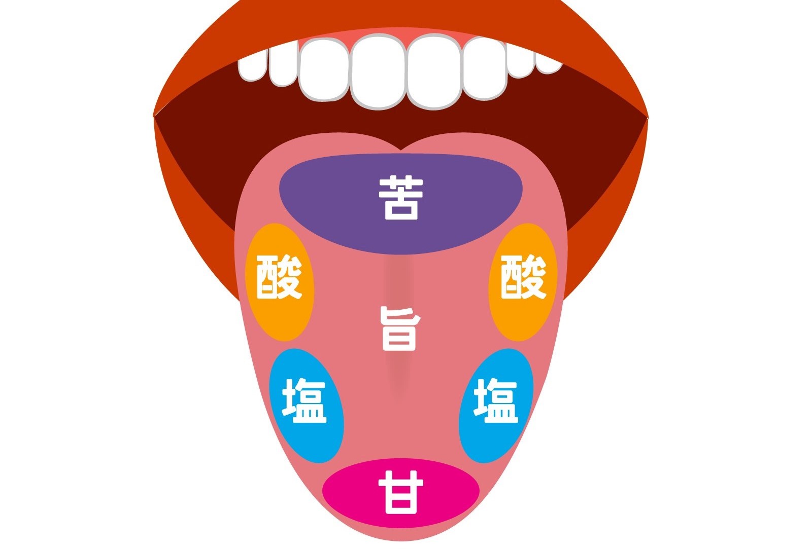 味覚障害とは？症状や原因、予防法について解説 | 水と健康の情報メディア｜トリム・ミズラボ - 日本トリム