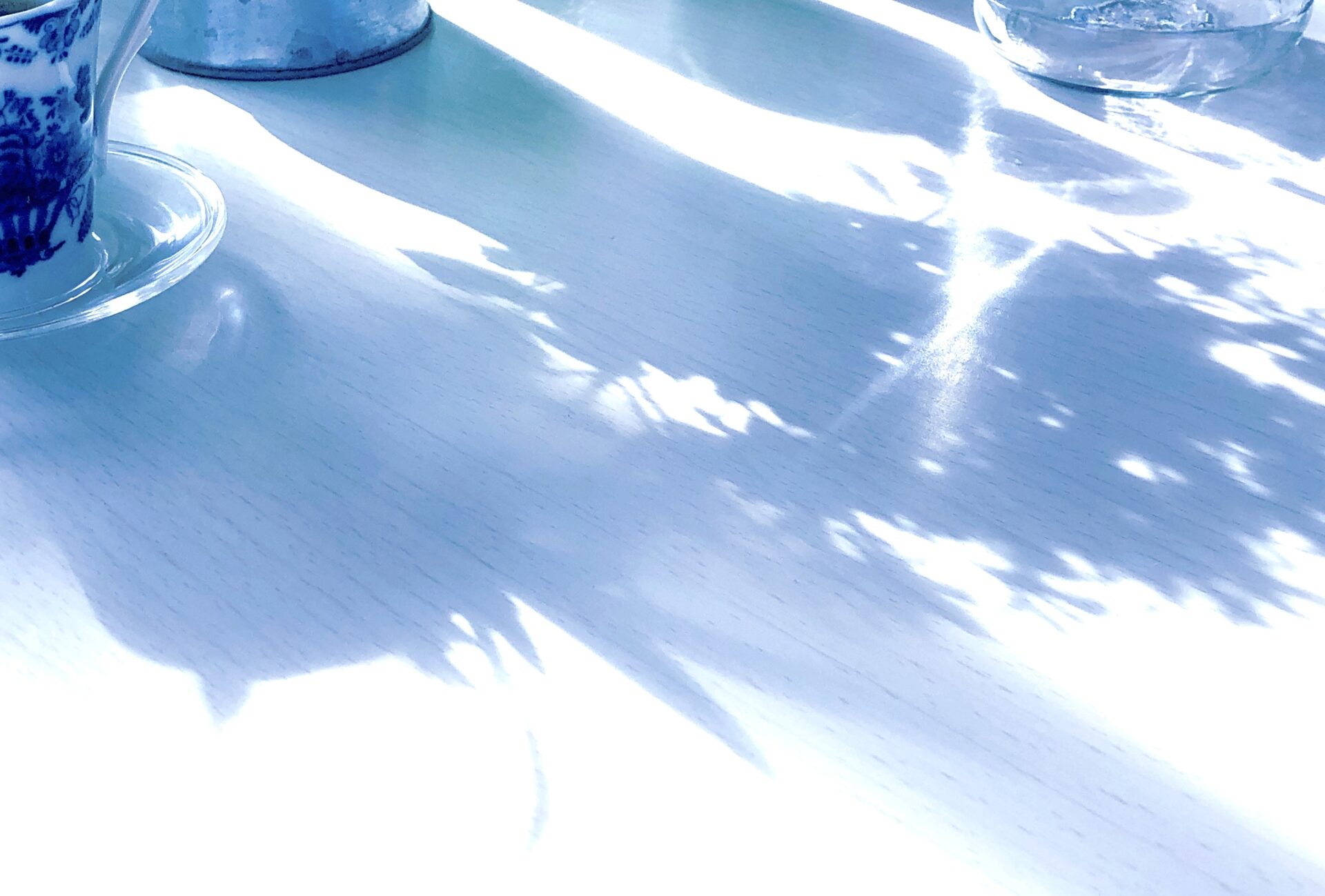 朝の光を浴びることが大切