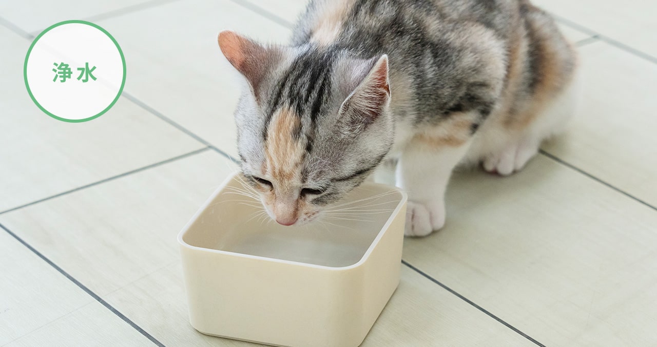 水で暮らしはこんなに変わる01