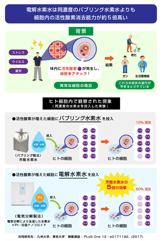 電解水素水は同水素濃度の水素水に比べ HT1080 細胞の細胞内活性酸素消去能力が強い