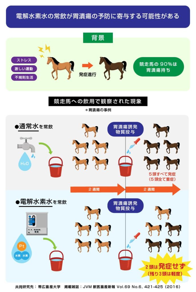 馬の非ステロイド系抗炎症薬誘発胃潰瘍に対する電解水素水 飲水の予防効果