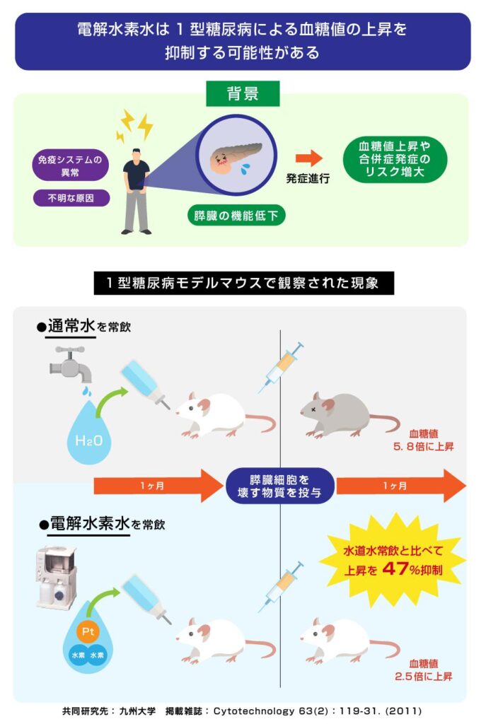 アロキサン誘導アポトーシスとI型糖尿病に対する電解還元水の抑制効果