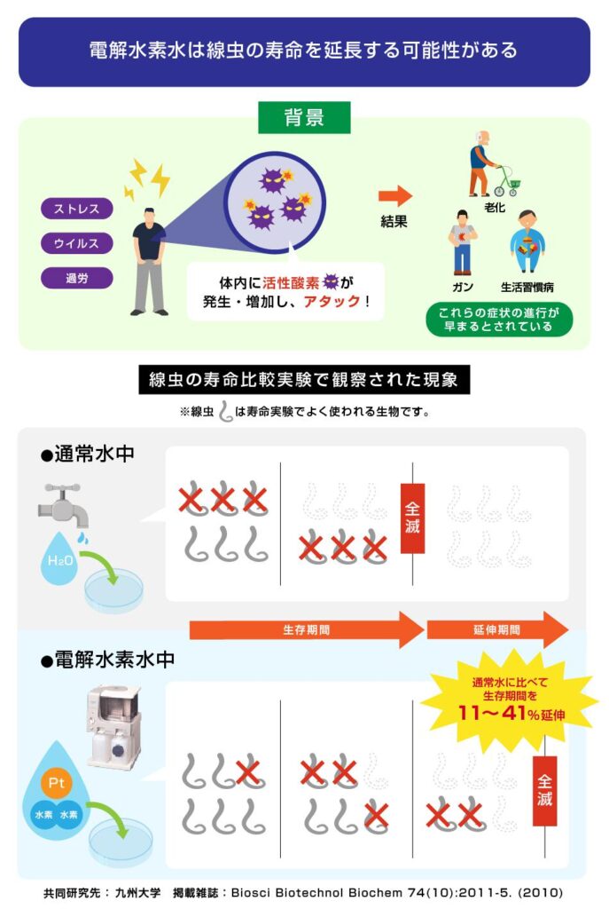 電解還元水による線虫の寿命延長