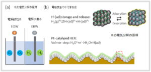 図２：白金ナノ粒子単層コート電極による電解水素水の生成